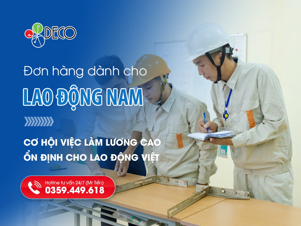 Đơn hàng nam Nhật Bản