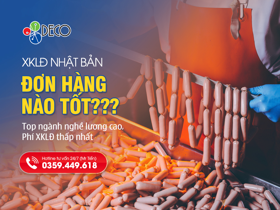 Đi Nhật Đơn Hàng Nào Tốt: Top Những Ngành Nghề Lương Cao Và Phí Rẻ Nhất