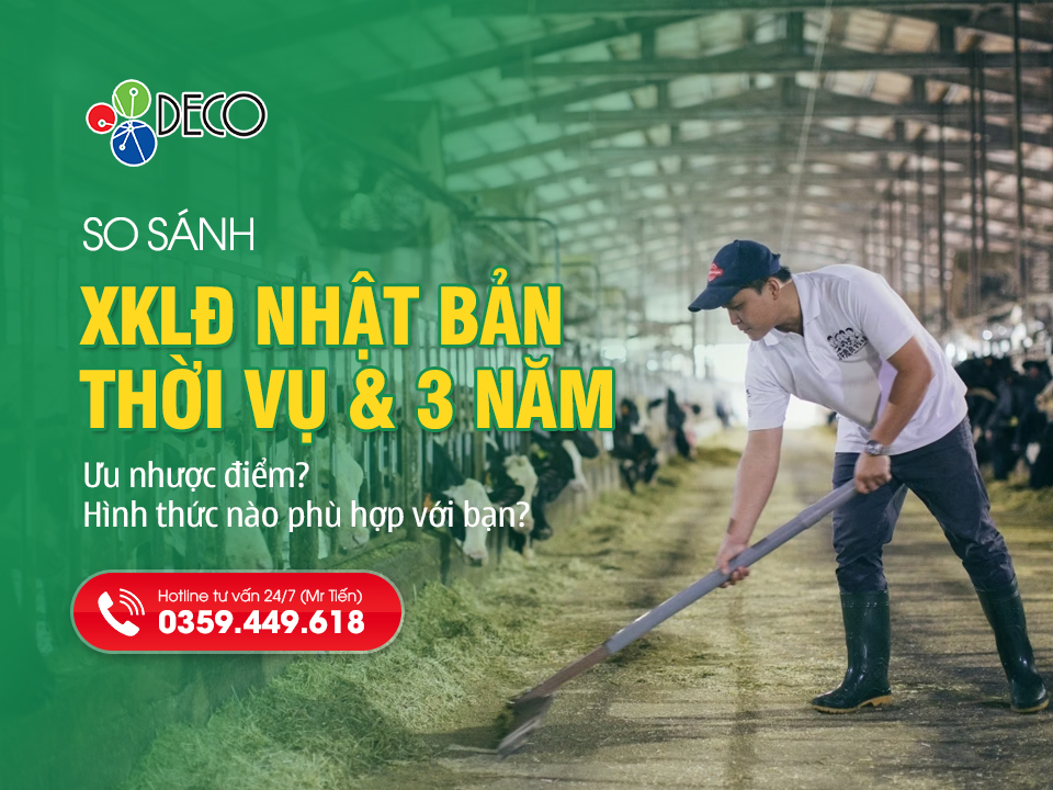 So Sánh Đi Nhật Thời Vụ Và 3 Năm (2026): Chọn Hình Thức Nào? | XKLĐ DECO