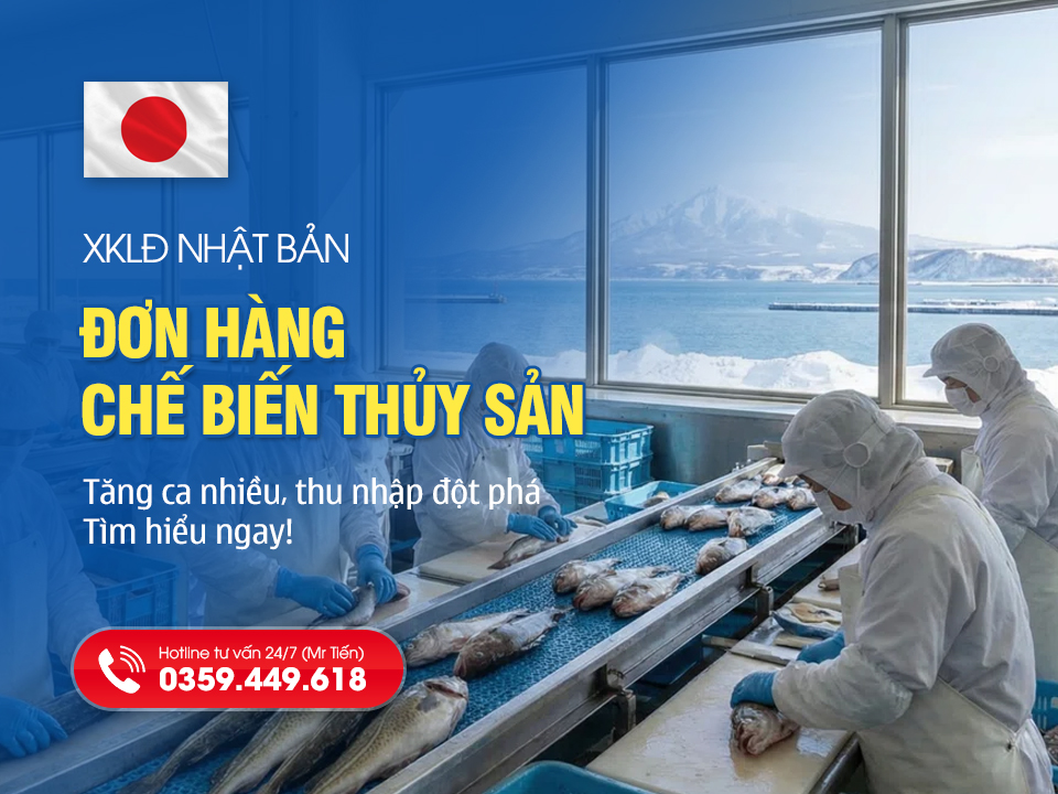 Đơn Hàng Chế Biến Thủy Sản Nhật Bản 2026: Tăng Ca Nhiều, Thu Nhập Đột Phá