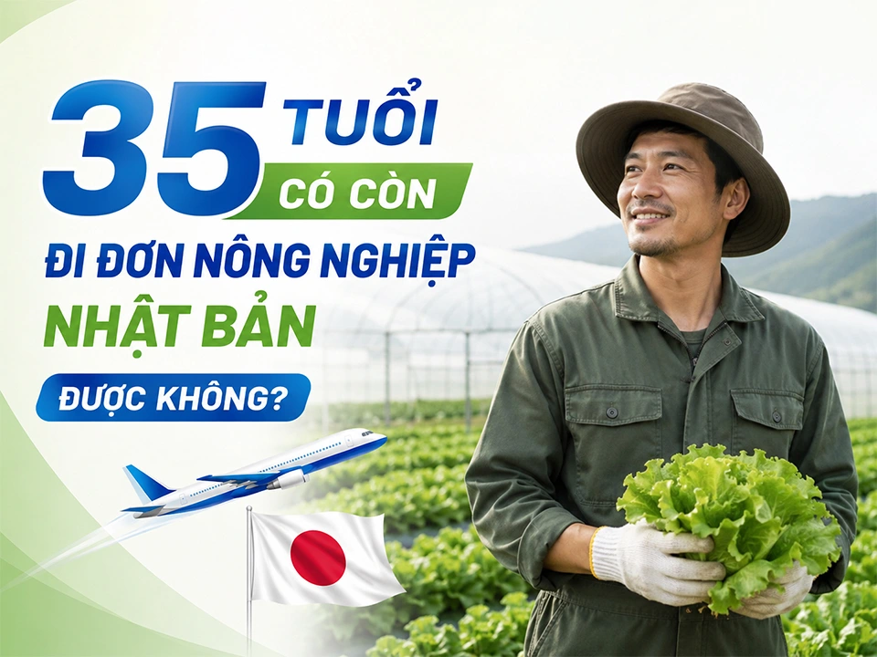 35 Tuổi Có Còn Đi Đơn Nông Nghiệp Nhật Bản Được Không?