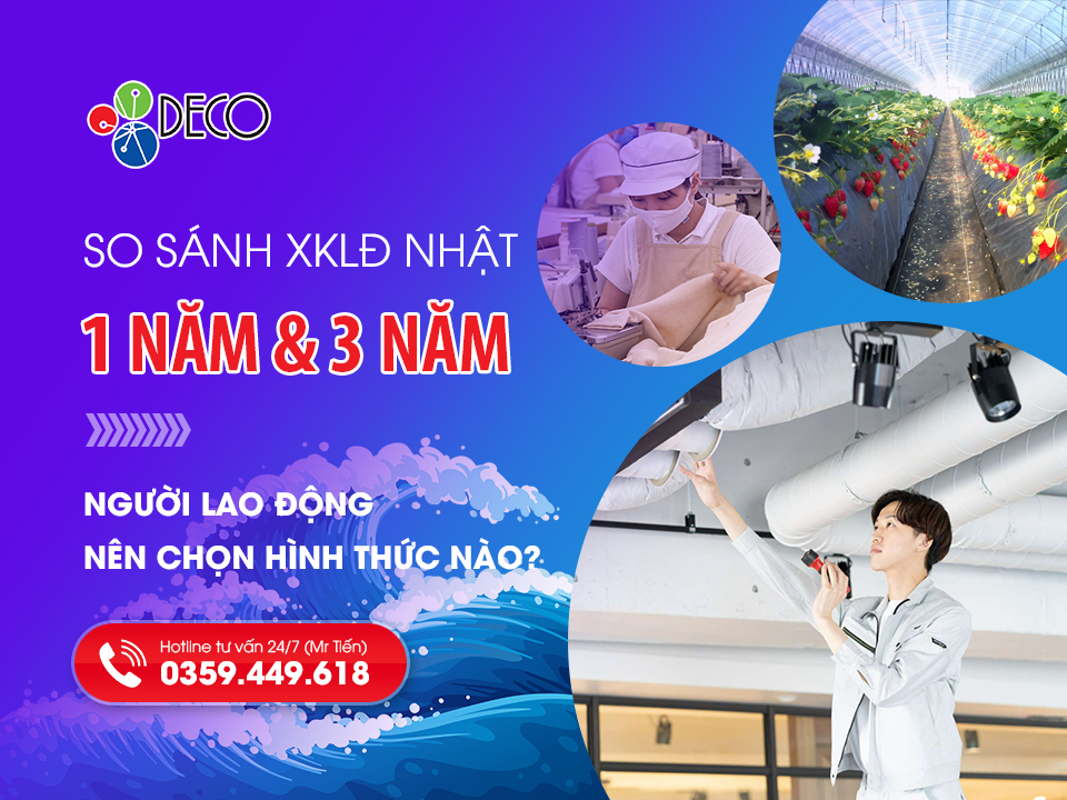 So sánh đi Nhật 1 năm và 3 năm (2026): Nên chọn hình thức nào?