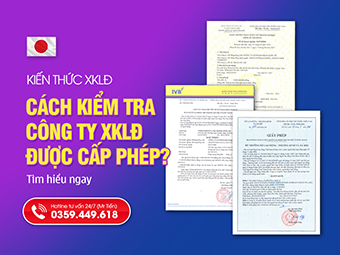 Cách Kiểm Tra Công Ty XKLĐ Có Được Cấp Phép Hay Không: 3 Bước Chính Xác Nhất