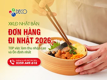 Đơn Hàng Chế Biến Thực Phẩm Nhật Bản: Top Việc Làm Thu Nhập Cao Và Ổn Định Nhất