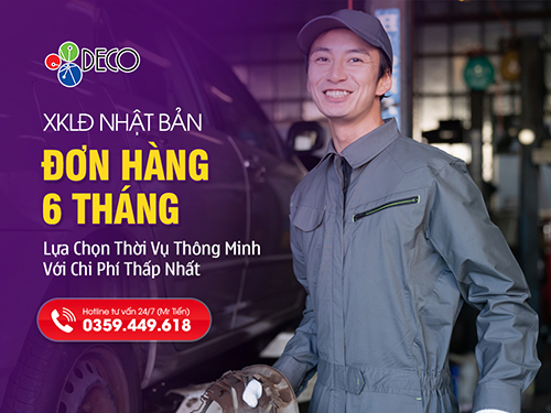 Đơn Hàng Đi Nhật 6 Tháng: Lựa Chọn Thời Vụ Thông Minh Với Chi Phí Thấp Nhất 2026