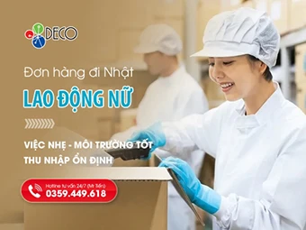 Đơn hàng đi Nhật cho nữ – Việc nhẹ, môi trường tốt, thu nhập ổn định