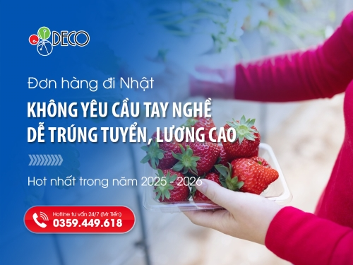 [Mới nhất] Đơn hàng đi Nhật không yêu cầu tay nghề 2026: Dễ trúng tuyển, lương cao