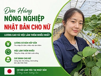 Đơn Hàng Nông Nghiệp Nhật Bản Cho Nữ Lương Cao Và Việc Làm Thêm Nhiều Nhất
