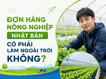 Đơn Hàng Nông Nghiệp Nhật Bản Có Phải Làm Ngoài Trời Không: Sự Thật Khiến Nhiều Người Bất Ngờ