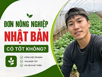 Đơn Nông Nghiệp Nhật Bản Có Tốt Không: Phân Tích Chi Phí Lương Thưởng Chi Tiết Cho Lao Động Việt