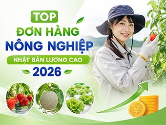Top Đơn Hàng Nông Nghiệp Nhật Bản Lương Cao 2026 Hấp Dẫn Nhất Cho Lao Động Việt