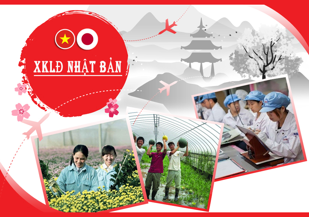 Đào tạo, phái cử thực tập sinh, người lao động sang làm việc tại nước ngoài. Thị trường trọng điểm: Nhật Bản, Đài Loan.